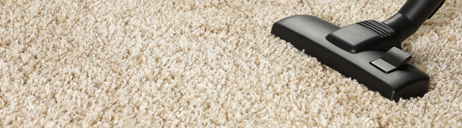 Carpet care guide